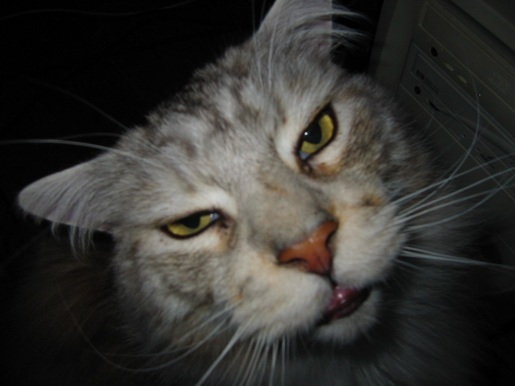 img1675.jpg
