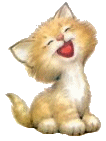 kittenlach.gif